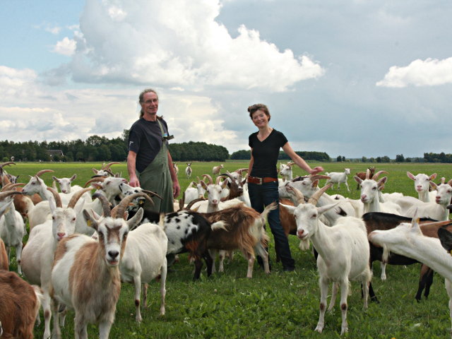 Ger Ayla en de geiten